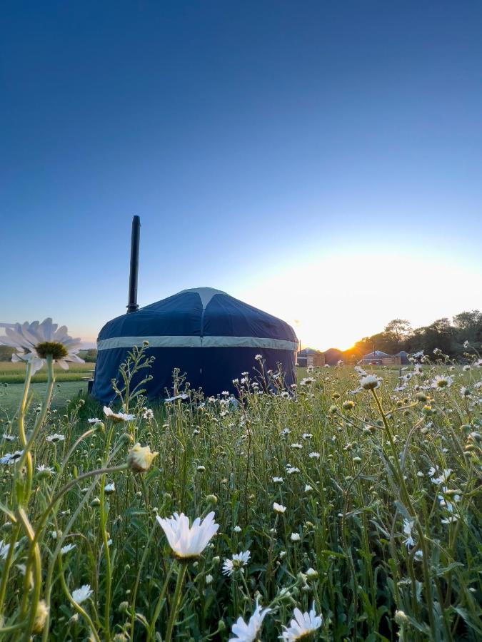 Wild Meadow, Lodge Farm, East Raynham Fakenham Luaran gambar