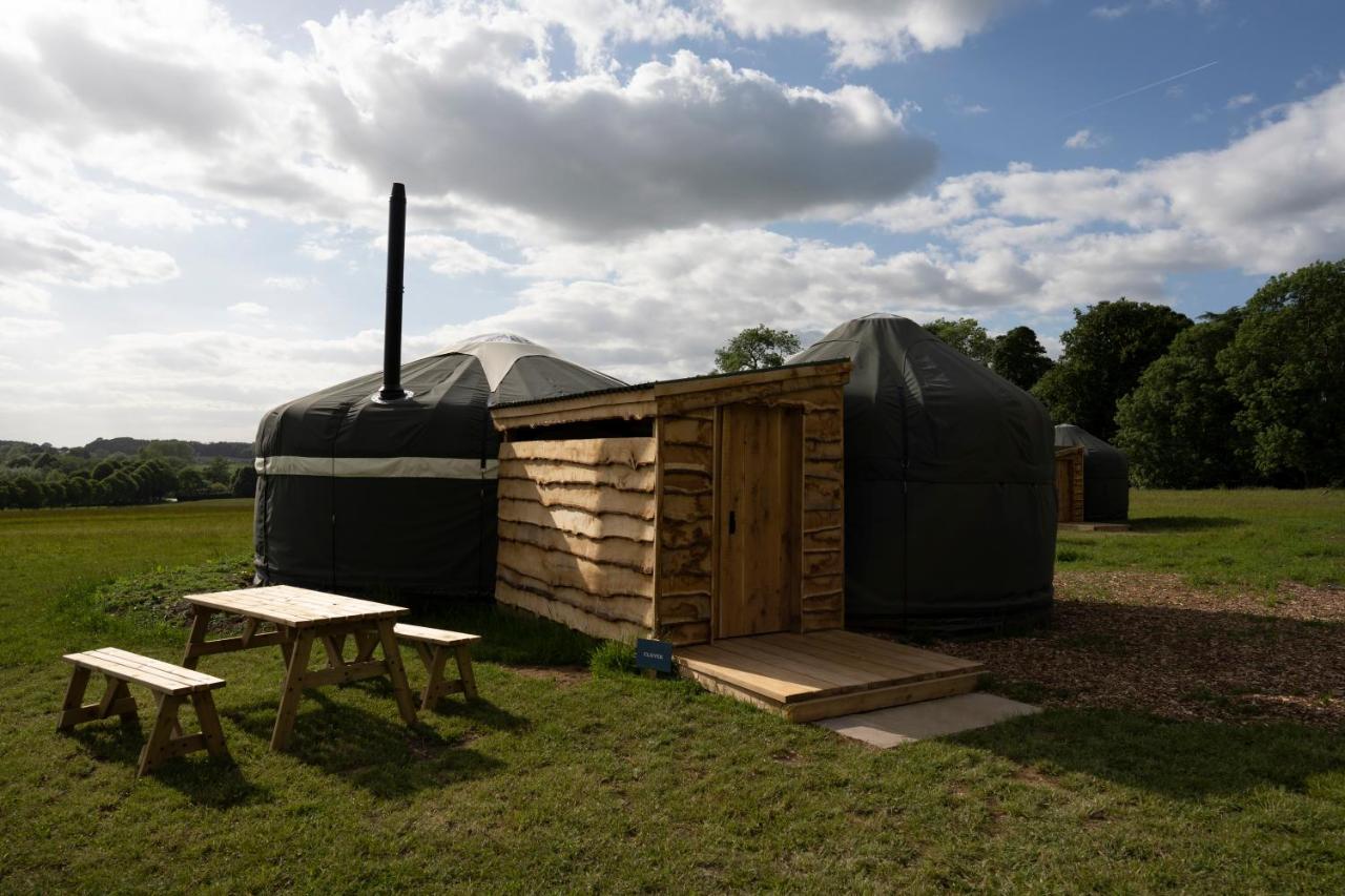 Wild Meadow, Lodge Farm, East Raynham Fakenham Luaran gambar