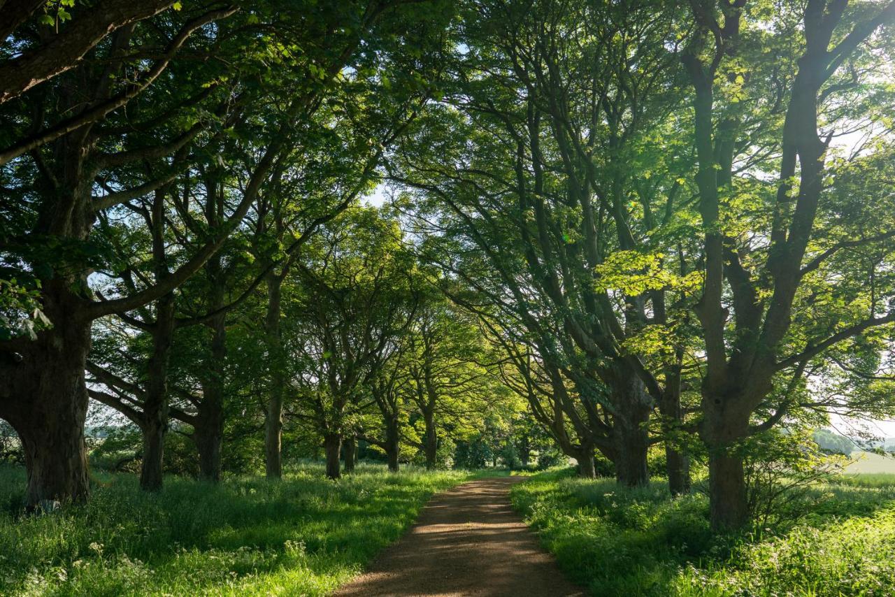 Wild Meadow, Lodge Farm, East Raynham Fakenham Luaran gambar