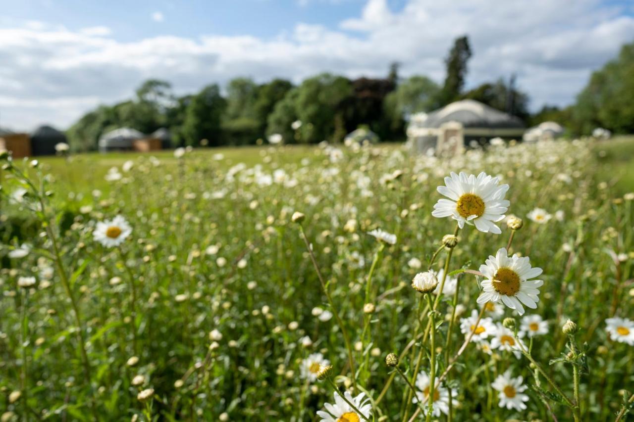 Wild Meadow, Lodge Farm, East Raynham Fakenham Luaran gambar