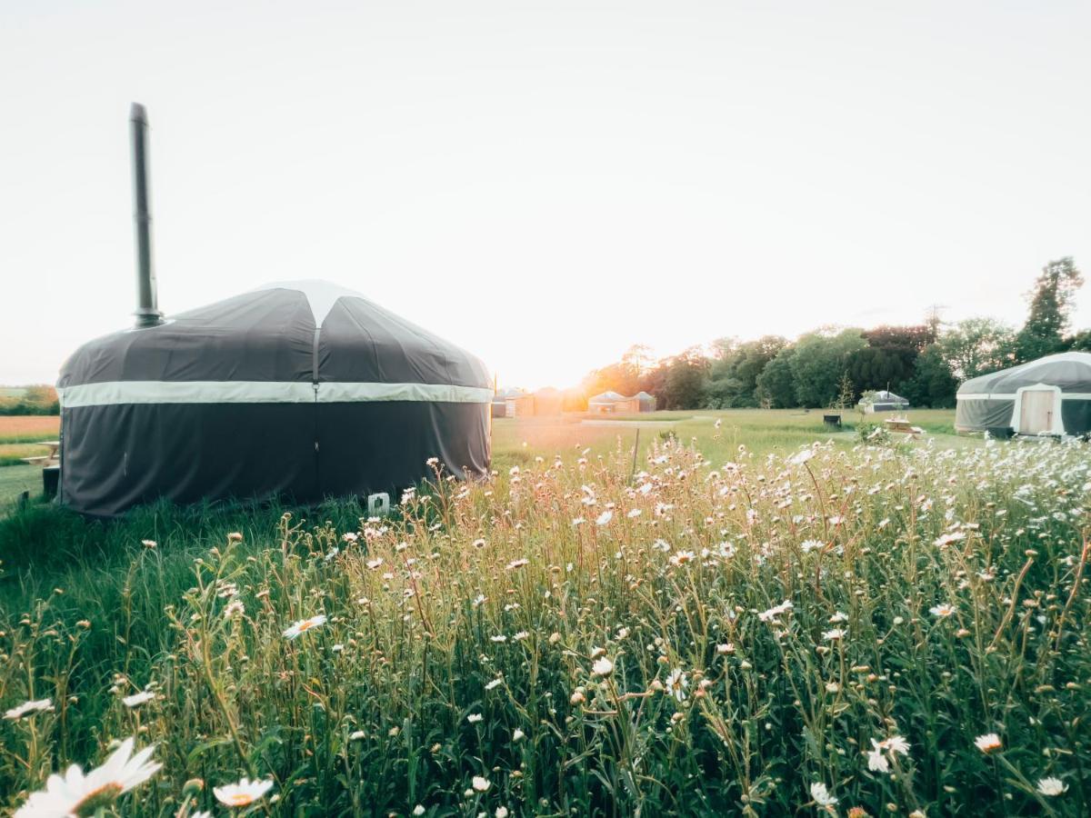 Wild Meadow, Lodge Farm, East Raynham Fakenham Luaran gambar