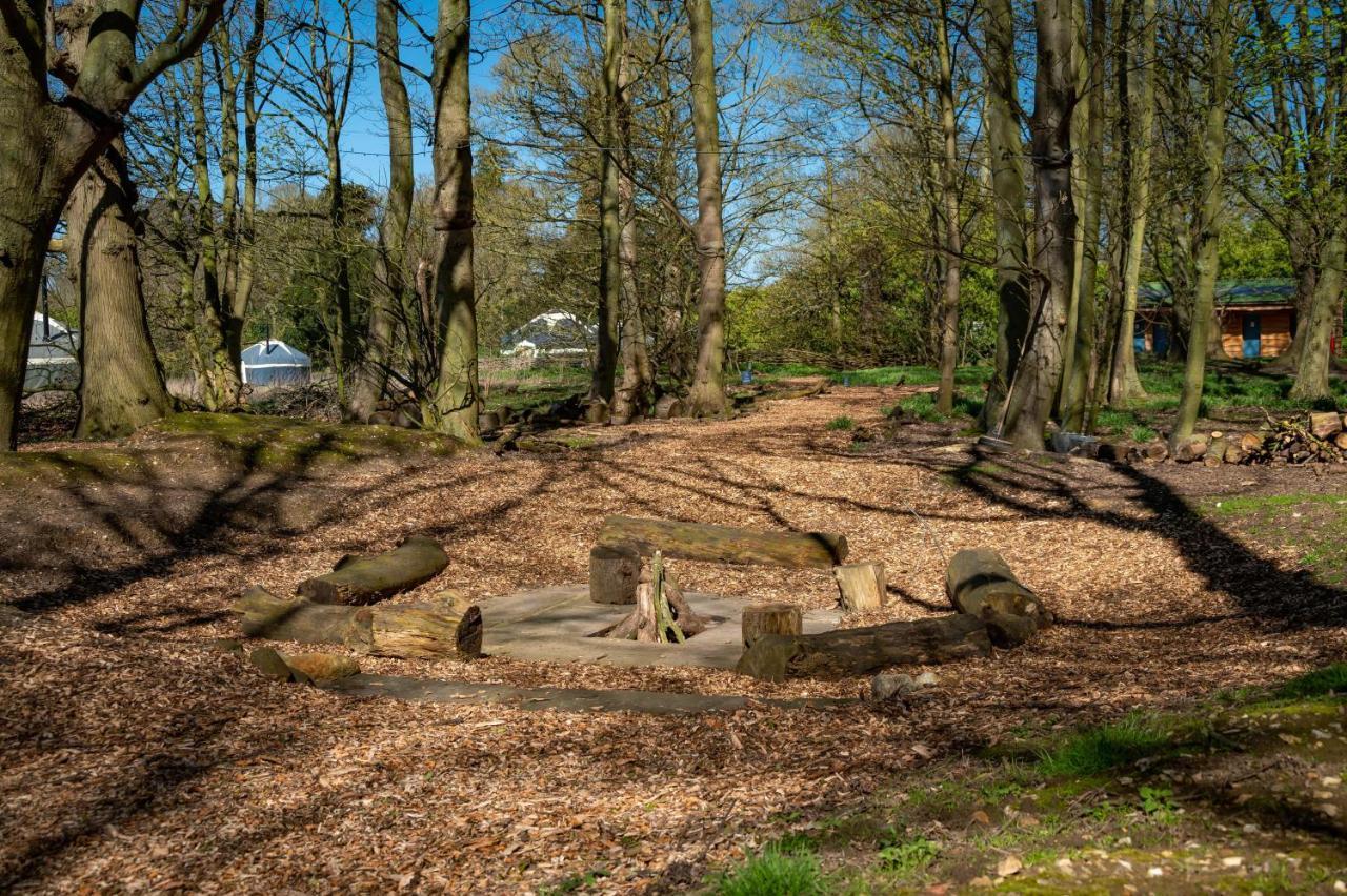 Wild Meadow, Lodge Farm, East Raynham Fakenham Luaran gambar
